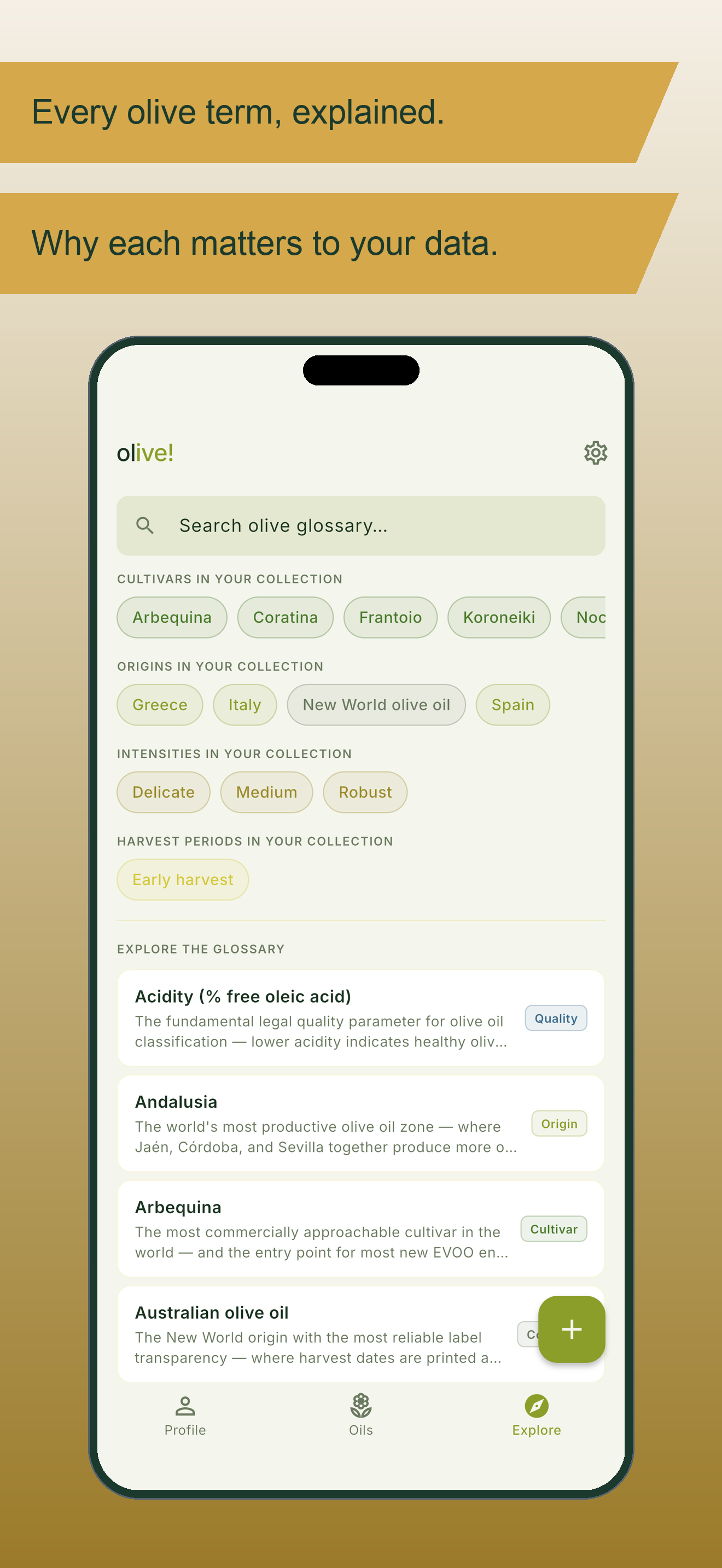 Explore reference encyclopedia of olive oil terms